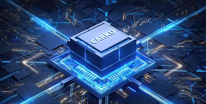 carku-lifepo4-deep-cycle-battery
